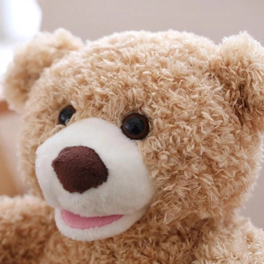Peek-a-Boo Bär: Interaktives sprechendes Plüschtier