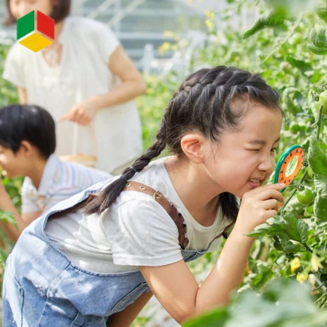 Insekten-Entdeckungskit für Kinder - Pädagogisches Naturentdecker-Set