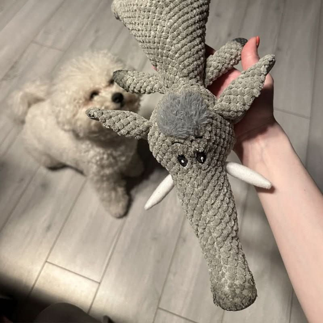 Langlebiges Kauspielzeug für Hunde aller Größen – Unzerstörbares Design